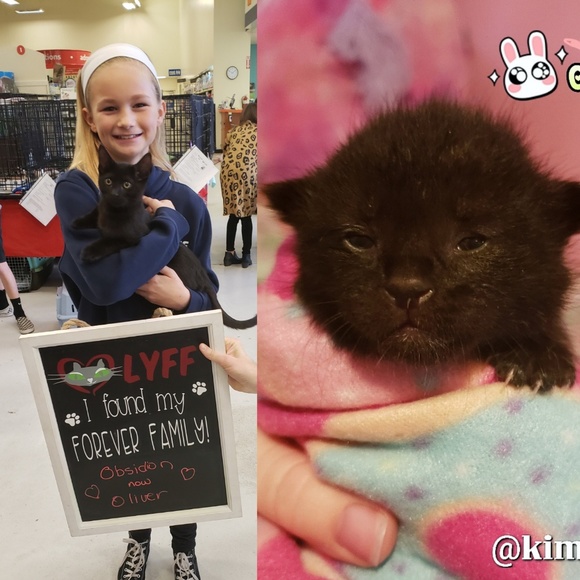 Proceeds Help Me Save Animals Lives - Picture 3 of 7